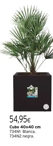 Cadena88 Cubo oferta