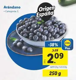 Lidl Arándano oferta