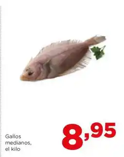 Alimerka Gallos medianos, el kilo oferta