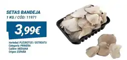 Dialsur Cash & Carry Setas bandeja oferta