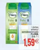 Plenus Supermercados Flora - lácteo enteiro/semediecremado oferta