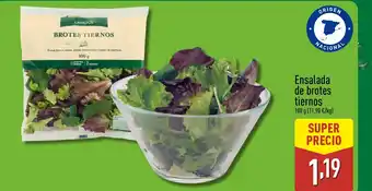 ALDI Ensalada de brotes tiernos oferta