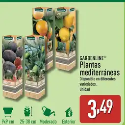 ALDI GARDENLINE Plantas mediterráneas oferta
