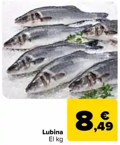 Carrefour Lubina oferta