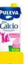 Carrefour Puleva - leche calcio oferta