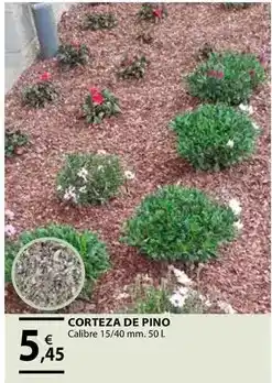 CMB Bricolage Corteza de pino oferta