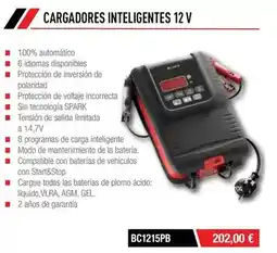 Ferri Cargadores inteligentes 12 v oferta