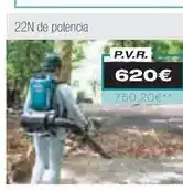 Ferri Soplador oferta