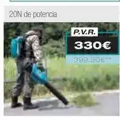 Ferri Soplador oferta