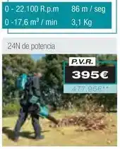 Ferri Soplador oferta