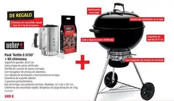 Bauhaus Weber - pack 'kettle e-5730' + kit chimenea oferta