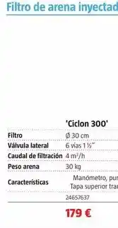 Bauhaus Filtro de arena inyectado ciclon 300 oferta