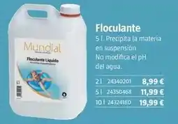 Bauhaus Floculante oferta