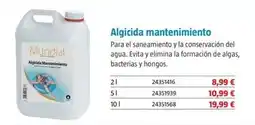Bauhaus Algicida mantenimiento oferta