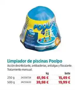 Bauhaus Poolpo - limpiador de piscinas oferta