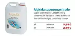 Bauhaus Algicida superconcentrado oferta