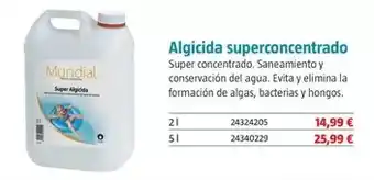 Bauhaus Algicida superconcentrado oferta