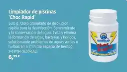 Bauhaus Limpiador de piscinas 'choc rapid' oferta