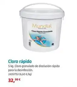 Bauhaus Mundial - cloro rapido oferta