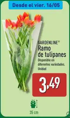 ALDI Gardenline - ramo de tulipanes oferta