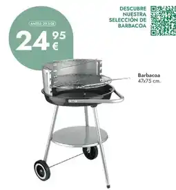 Rocasa Barbacoa oferta