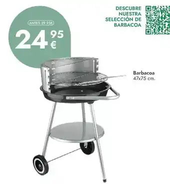 Rocasa Barbacoa oferta