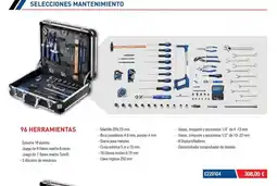 Ferri Selecciones mantenimiento oferta