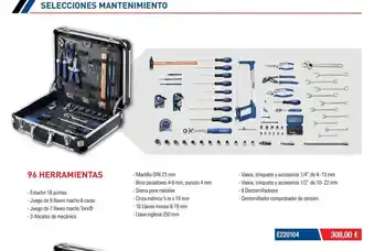 Ferri Selecciones mantenimiento oferta