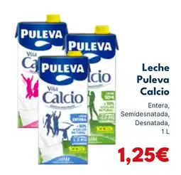 Cash Unide Leche Puleva Calcio oferta