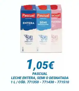 Dialsur Cash & Carry PASCUAL Leche entera, semi o desnatada oferta