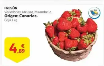 Alcampo Fresón oferta
