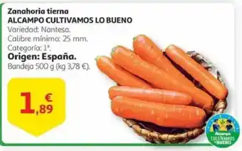 Alcampo Zanahoria tierna oferta