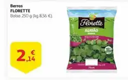 Alcampo FLORETTE Berros oferta