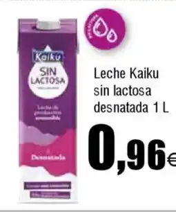 FROIZ KAIKU Leche sin lactosa desnatada oferta