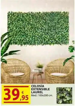 CMB Bricolage Celosía extensible laurel oferta