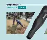 Ferri Soplador oferta