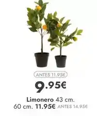 Rocasa Limonero oferta