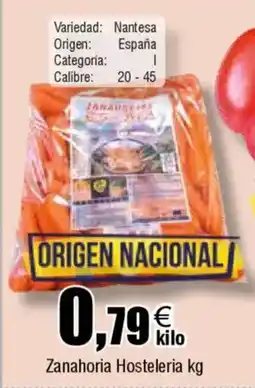 FROIZ Zanahoria Hosteleria oferta