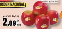 FROIZ Manzana Joya oferta