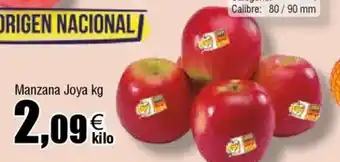 FROIZ Manzana Joya oferta