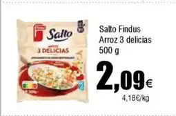 FROIZ FINDUS Salto Arroz 3 delicias oferta