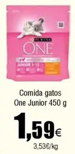 FROIZ PURINA ONE Comida gatos Junior oferta