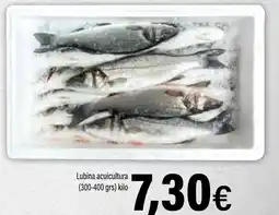 Cash Ifa Lubina acuicultura oferta