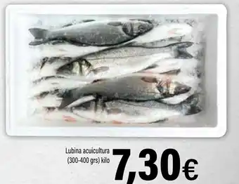Cash Ifa Lubina acuicultura oferta