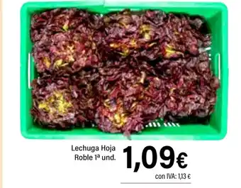 Cash Ifa Lechuga Hoja Roble 1ª und. oferta