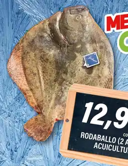 Cash Ifa Rodaballo acuicultura oferta