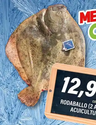 Cash Ifa Rodaballo acuicultura oferta