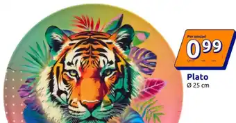 Action Plato 025 cm oferta