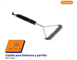 Action Cepillo para barbacoa y parrilla 30 x 17cm oferta
