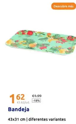 Action Bandeja 43x31 cm oferta